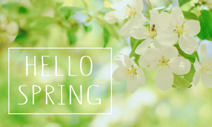Fiori di marzo: consigli per giardini e balconi
