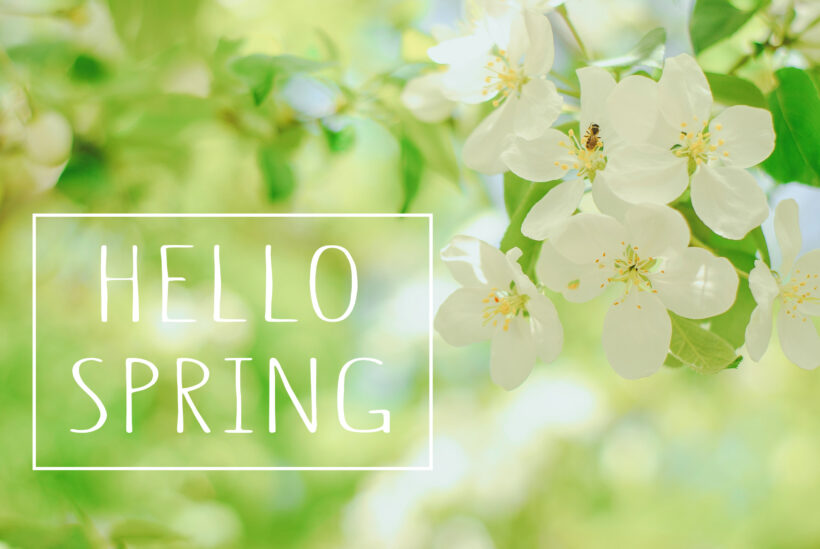 Fiori di marzo: consigli per giardini e balconi