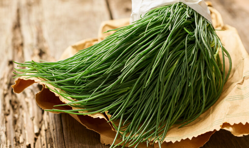 Erba cipollina: coltivazione e usi in cucina Erba cipollina: coltivazione e usi in cucina