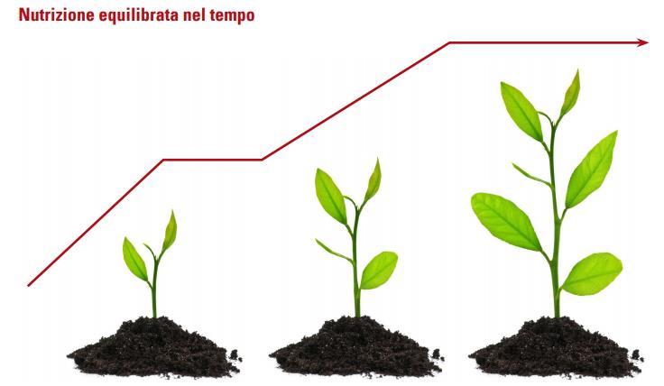 NUTRIZIONE EQUILIBRATA MYTHOS