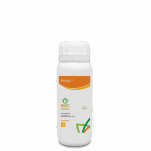 idrolizzato proteico