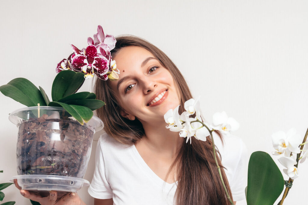 rinvaso delle orchidee