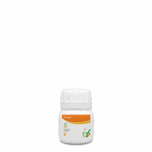 bonsai cura