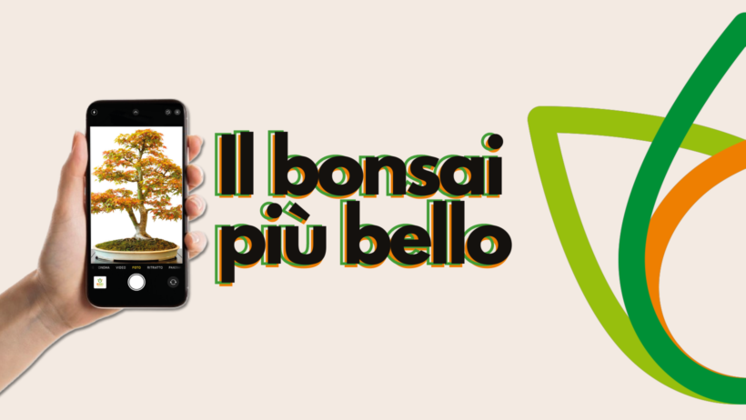 Ami l’arte del bonsai? Inviaci una foto e partecipa al contest!