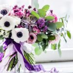 anemone japonica