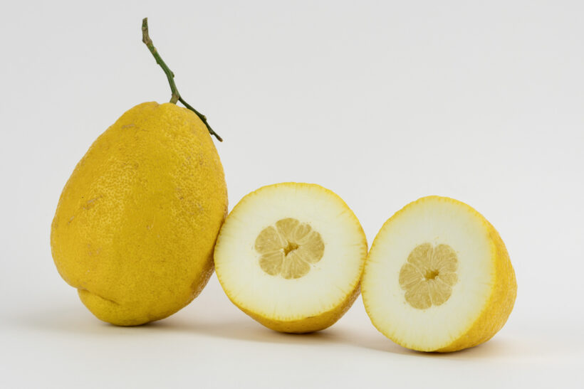 Cedro: Guida alla Coltivazione, Cura e Ricette